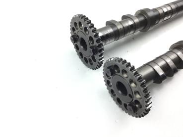 Yamaha YZF R1 RN01 Motor Nockenwellen Einlass Auslass